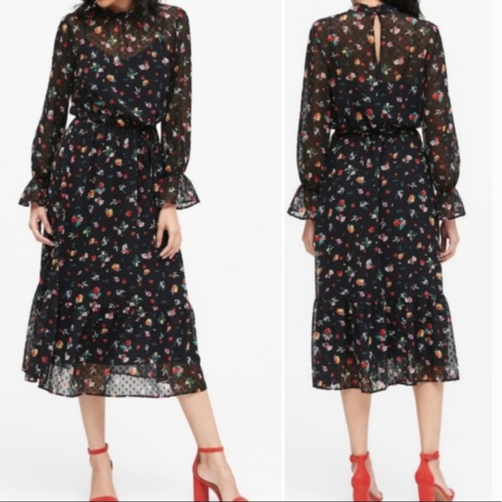 Banana Republic Sheer Dot Floral Dress Size 12